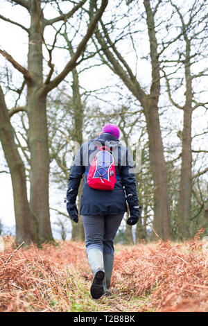 Un escursionista cammina lungo un sentiero durante l'inverno nelle zone rurali Shropshire, Inghilterra. Foto Stock