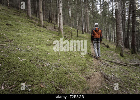 Un trekker camminare da solo tra la foresta in un giorno nuvoloso Foto Stock