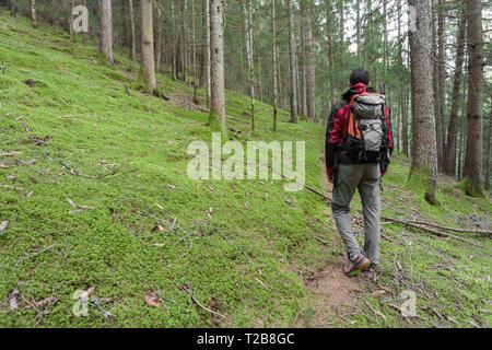 Un trekker camminare da solo tra la foresta in un giorno nuvoloso Foto Stock