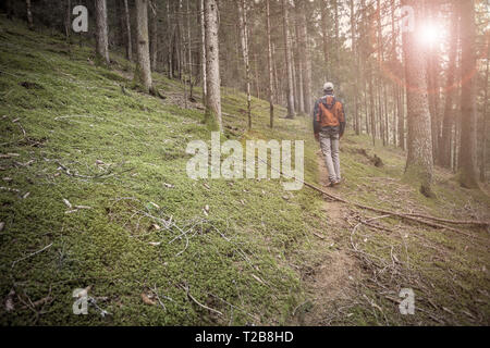 Un trekker camminare da solo tra la foresta in un giorno nuvoloso Foto Stock