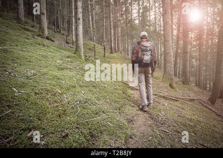 Un trekker camminare da solo tra la foresta in un giorno nuvoloso Foto Stock