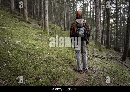 Un trekker camminare da solo tra la foresta in un giorno nuvoloso Foto Stock