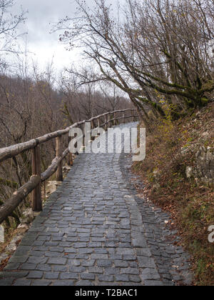 Pietra di strada a piedi nel parco naturale dei laghi di Plitvice in Croazia Foto Stock