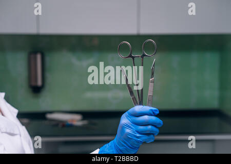 Una gomma guanti contiene due bisturi e un morsetto, chiudere l'angolo Foto Stock