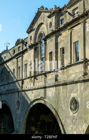Una vista dell'arco centrale di Pulteney Bridge sul lato sud con vetro veneziano al di sopra Foto Stock