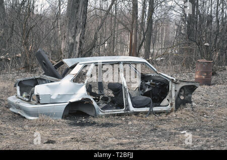 Rusty telaio auto nella foresta. Problemi ecologici. Il riciclaggio Foto Stock