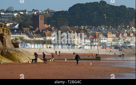 01/04/2019 Dog walkers sul Paignton Sands, Paignton, Devon. Come20190401A-002 C Foto Stock