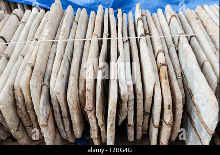 MALI, Mopti, commerciante vende il sale al mercato, la piastra di sale proviene dal camel caravan via da Tombouctou Taoudenni nel Sahara Foto Stock