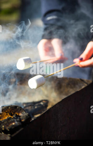 Una ragazza detiene due marshmallows su bastoni di legno su un falò per la cottura a vapore nel braciere. Dessert picnic Foto Stock