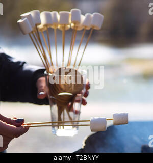 La ragazza detiene due marshmallows su bastoni di legno su un fuoco nel braciere e un vetro con preparati marshmallows e cookie. Picnic in dessert natu Foto Stock