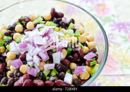 Miscelati insalata di fagioli con ceci, fagioli kidney; fagioli neri, il sedano e la cipolla rossa. Foto Stock