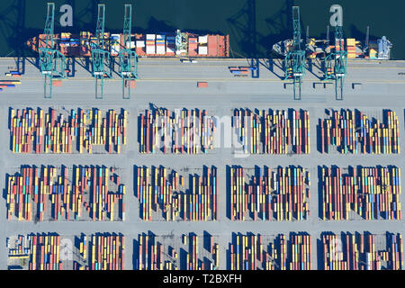 VISTA AEREA VERTICALE. Contenitori immagazzinati temporaneamente su una banchina. Porto di Delwaide, porto di Anversa, Belgio. Foto Stock