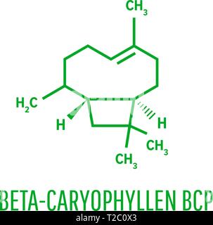 Cariofillené molecola. Formula di scheletro. Costituente di più a base di erbe oli essenziali Illustrazione Vettoriale