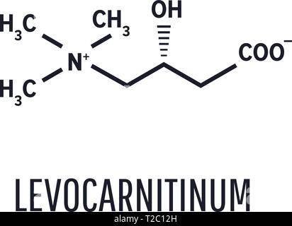 Levocarnitine, levocarnitine, anche l-carnitina sinistra carnitina.Acetilcarnitina molecola biologica Illustrazione Vettoriale