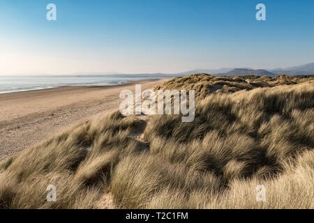 La spiaggia vuota a Harlech, Gwynedd, il Galles del Nord, Regno Unito, sostenuto da dune di sabbia con vista sul mare irlandese e la penisola di Llŷn Foto Stock
