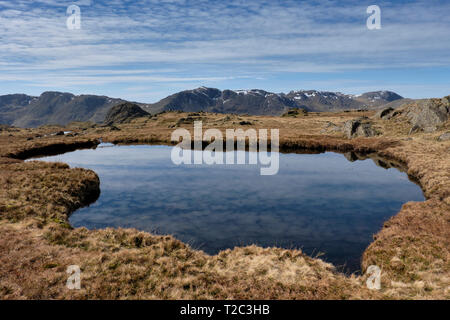 Crinkle Crags, Bowfell, Pike of Stickle visto da vicino Harrison Stickle, Langdale Pikes, Lake District, Cumbria Foto Stock