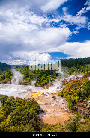 La cottura a vapore Orakei Korako area geotermica nel mezzo della foresta pluviale tropicale sulle rive del fiume Waikato, Taupo zona vulcanica, l'Isola Settentrionale della Nuova Foto Stock