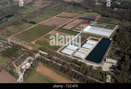 Vista aerea di orticoltura vivaio vicino Sandiway, Cheshire Foto Stock