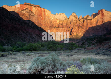 Le torri della Vergine a sunrise in Zion National Park nello Utah Foto Stock