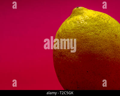 Un unico isolato di limone su sfondo magenta. Foto Stock