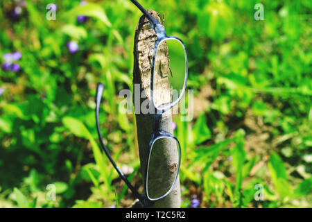 Hipster occhiali appesi in tronco di albero. Fancy optometria occhiali in erba verde e fiori viola. Quadro concettuale per la scarsa visibilità o miopia treatme Foto Stock