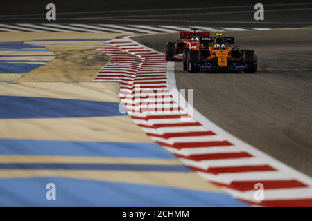 Sakhir, Bahrain. 31 Mar, 2019. LANDO NORRIS della McLaren F1 Team durante il 2019 Formula 1 Gran Premio del Bahrain al Circuito Internazionale del Bahrain sul circuito di Sakhir. Credito: James Gasperotti/ZUMA filo/Alamy Live News Foto Stock