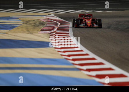 Sakhir, Bahrain. 31 Mar, 2019. CHARLES LECLERC della Scuderia Ferrari missione vagli durante il 2019 Formula 1 Gran Premio del Bahrain al Circuito Internazionale del Bahrain sul circuito di Sakhir. Credito: James Gasperotti/ZUMA filo/Alamy Live News Foto Stock