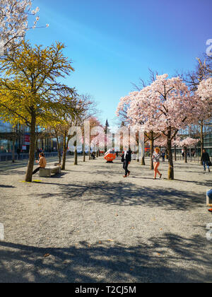 Hannover, Germania. Il 1 aprile 2019. Le persone che si godono la fioritura degli alberi presso la Hannover Messe durante la fiera di primavera nel mese di aprile del credito: Lothe Verstraete/Alamy Live News Credito: Lothe Verstraete/Alamy Live News Foto Stock