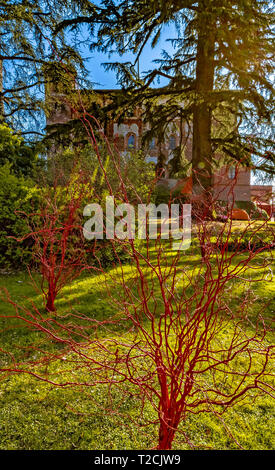 Italia Piemonte Castello di Pralormo ' Messer Tulipano ' caso annunciando la molla dedicata ai tulipani Foto Stock
