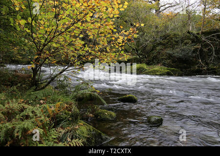 Fiume Rothay, Lake District Foto Stock