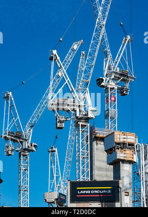 Molti la costruzione delle gru a torre in cantiere di riqualificazione del St James Centre di Edimburgo, Scozia UK Foto Stock
