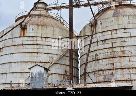 Sili Foto Stock