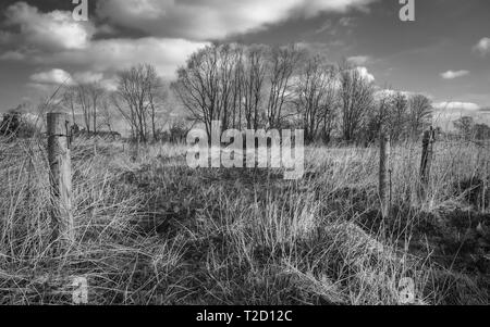 Vista su maggese farmland fiancheggiata da alte erbe e alberi sotto un cielo blu in primavera, Beverley, Yorkshire, Regno Unito. Foto Stock