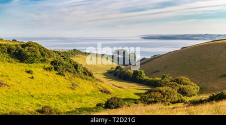 Valle verso il mare sul Cornish Coast penisola di Roseland Foto Stock