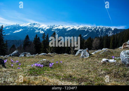 Escursioni a piedi lungo la strada che da Zarnesti a Piatra Craiului mountains, in Romania. Foto Stock
