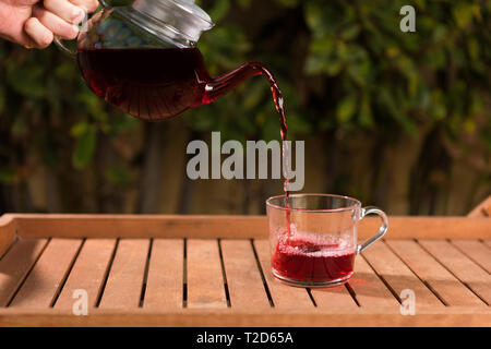 Teiera di vetro versando hibiscus il tè in tazza all'aperto Foto Stock