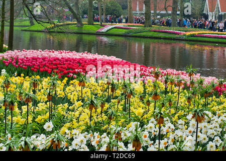 LISSE, Paesi Bassi - 15 Aprile 2018: Festa dei fiori al parco Keukenhof. Fioritura di tulipani e narcisi Foto Stock