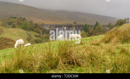 Una passeggiata verso il Grwyne Fawr serbatoio nel Parco Nazionale di Brecon Beacons, Powys, Wales, Regno Unito Foto Stock