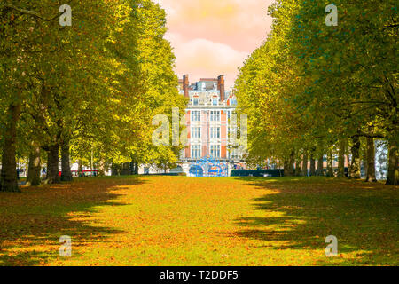 Autunno scena, in un viale alberato nel Parco Verde, Londra durante il tramonto Foto Stock