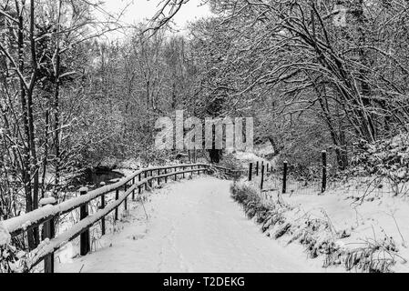 Percorso attraverso Cotswold in legno di faggio coperto di neve fresca Foto Stock