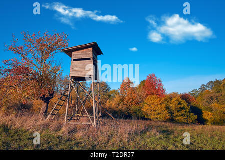 La torre della caccia nel bosco selvatico. Il Cacciatore di legno Nascondi orologio alta torre post. Il cacciatore punto di osservazione di foreste in Europa. Foto Stock