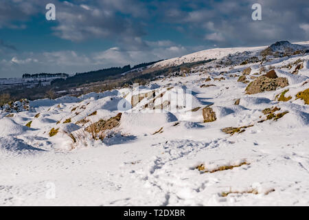 Una giornata di inverni innevati a Dartmoor, Devon, Regno Unito. Foto Stock