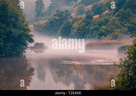 Vista lago al mattino presto prima del sorgere del sole con la nebbia al di sopra del lago circondato da foresta Foto Stock