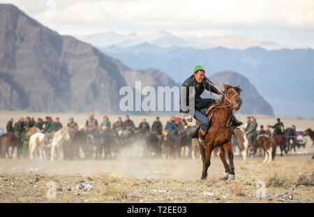 Il bayan Ulgii, Mongolia, 3 ottobre 2015: nomadi mongoli l'uomo a cavallo Foto Stock