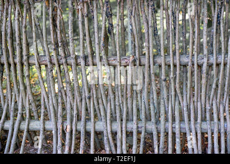 Parete di rametti di salice come sfondo. Rural antica recinzione, realizzata da Willow Tree ramoscelli e rami. Foto Stock