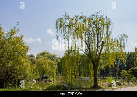 Bursa parco botanico, Turchia Foto Stock