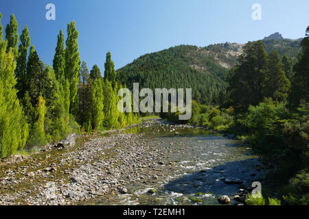 Meliquina fiume in Lanin National Park, Patagonia, Argentina Foto Stock