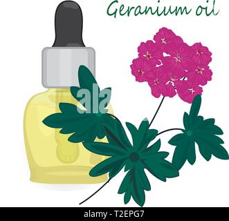 Geranio olio essenziale illustrazione vettoriale aromaterapia Health care Illustrazione Vettoriale