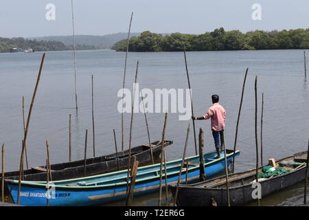 Un pescatore locale guardando il fiume Mapusa, con Chorao isola sulla sua destra. Foto Stock