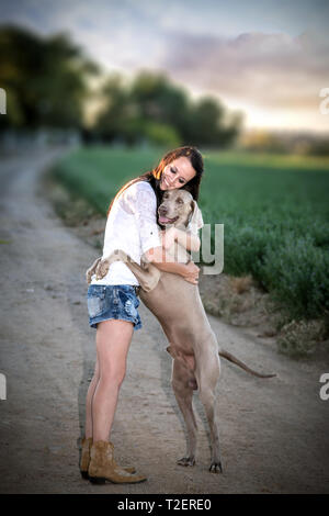 Weimaraner hound dando giovane donna un abbraccio Foto Stock